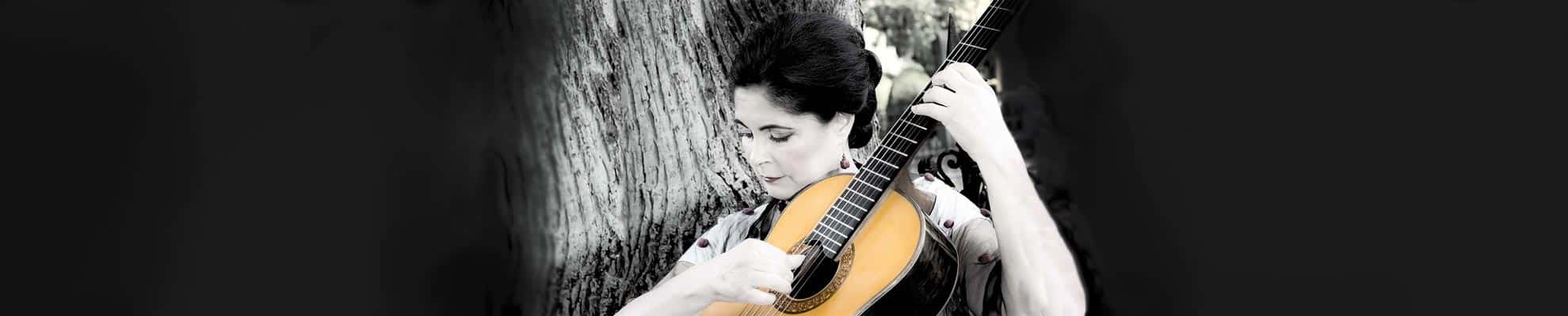 Classical Guitarist